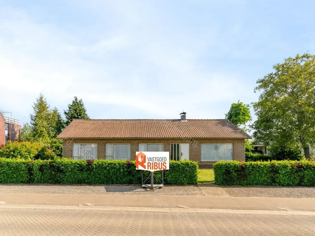 Huis in Meerhout - 1316503 - Olmsebaan 76, 2450 Meerhout