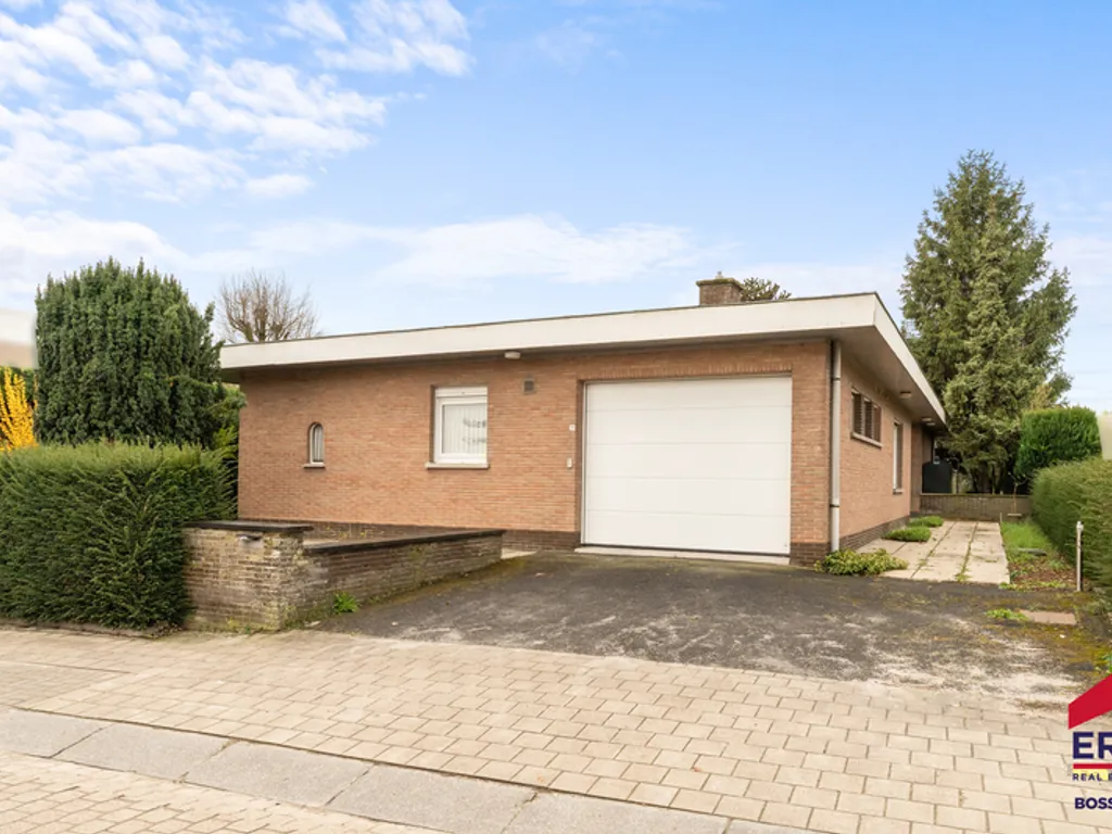 Hoofdfoto Huis in Heestert