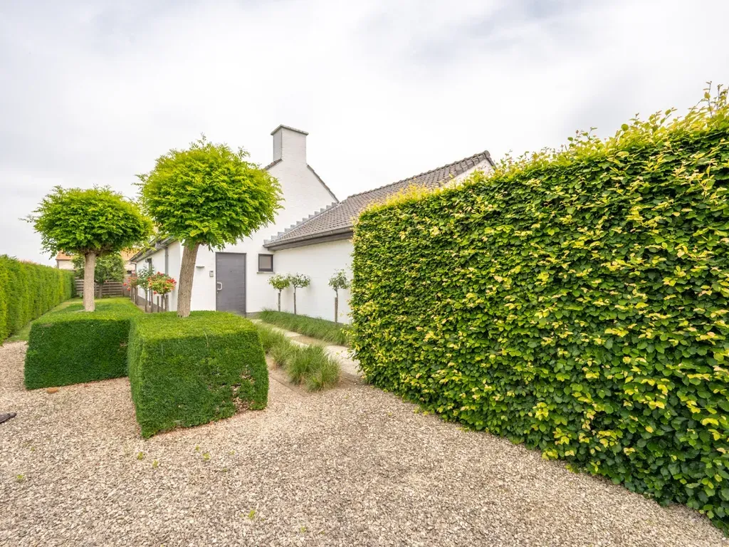 Huis Te Koop Maldegem