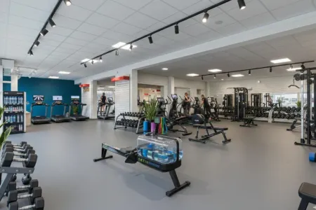 Handelspand Te Koop Geraardsbergen