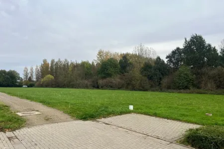 GrondZoutleeuw