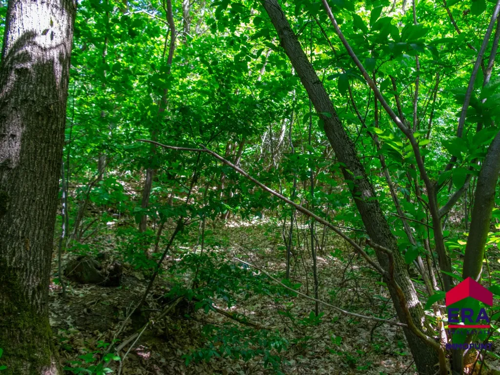 Hoofdfoto Grond in Tielt-Winge
