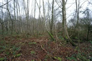 GrondLangdorp