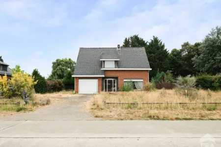 Maison À vendre Westerlo