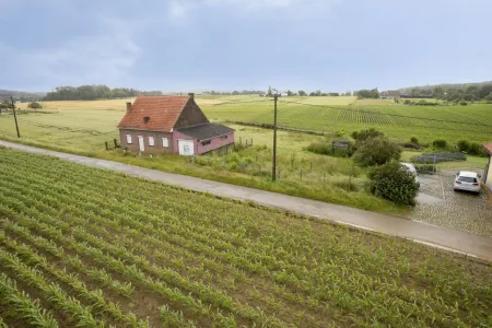 Huis Te Koop Holsbeek