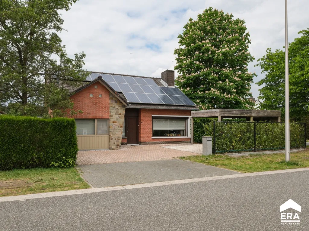 Hoofdfoto Huis in Pelt
