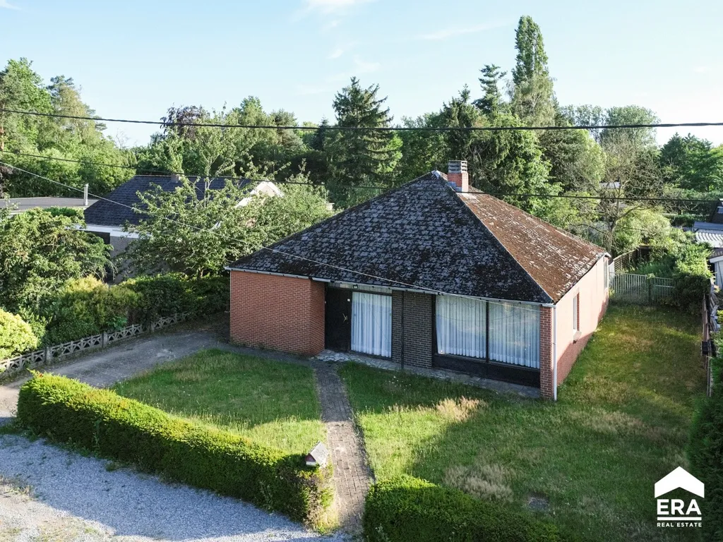 Hoofdfoto Huis in Pelt