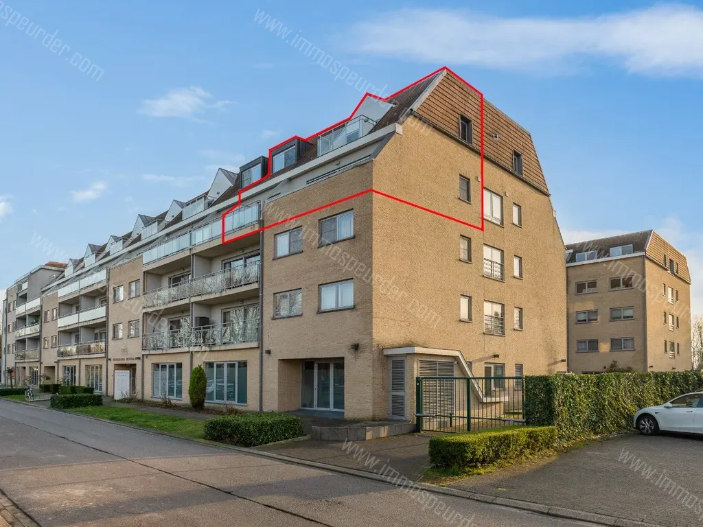Appartement in Willebroek