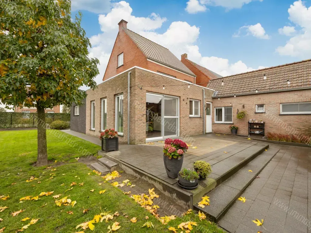 Maison in Hoogstraten - 1400070 - Meerseweg 67, 2321 Hoogstraten