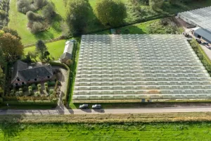 Huis Te Koop Hoogstraten