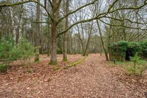 Huis Te Koop Geel