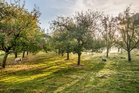 Villa À vendre Rumst