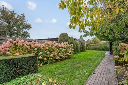Appartement Te Koop Weelde