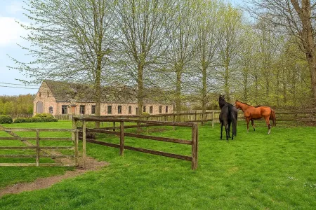 Villa Te Koop Schilde