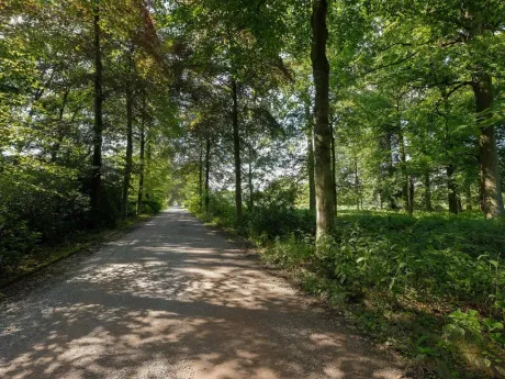 Villa in Gierle - Grotenhout 2, 2275 - foto 10