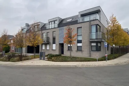 Appartement Te Huur Beerzel