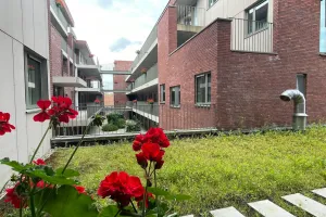 Appartement Te Koop Asse