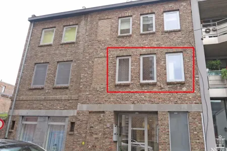Appartement À louer Maaseik
