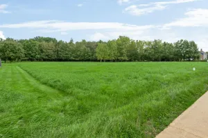 Grond Te Koop Westerlo