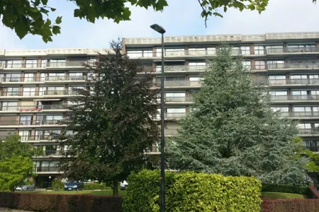 Appartement Te Koop Ronse
