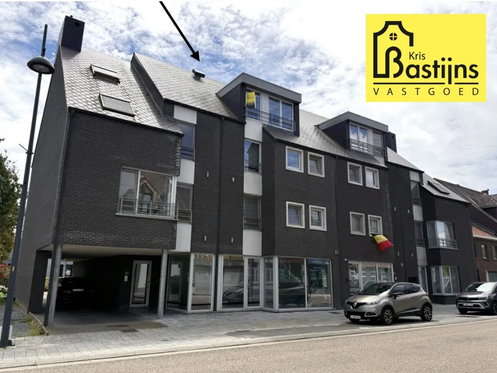 Hoofdfoto Huis in Halen