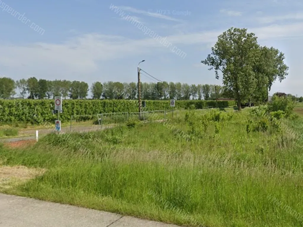 Handelspand Te Koop Sint-Gillis-Waas