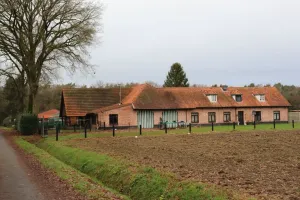 HandelspandPoppel