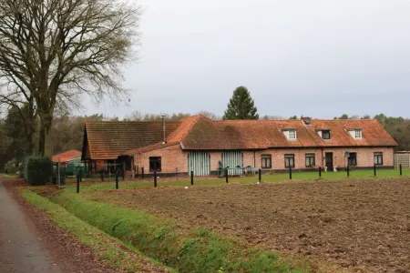 HandelspandPoppel