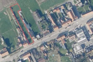 GrondGistel