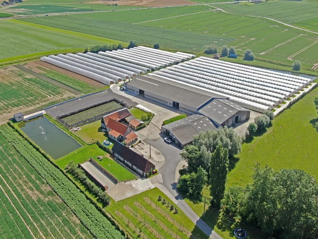 Handelspand in Veurne - 7672488 - Ruiffeleindestraat 13, 8630 Veurne