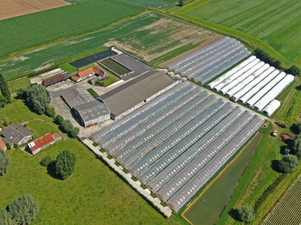 Handelspand in Veurne - 7672488 - Ruiffeleindestraat 13, 8630 Veurne