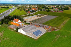 Handelspand Te Koop Koolskamp