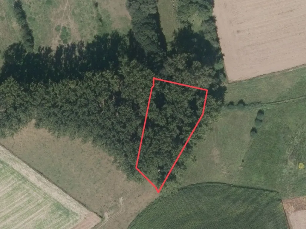 Grond in Sint Pieters Kapelle - 7672509 - Brikstraat 0, 1541 Sint pieters kapelle