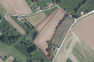 GrondPepingen