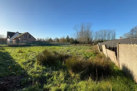 Grond Te Koop Tessenderlo-ham