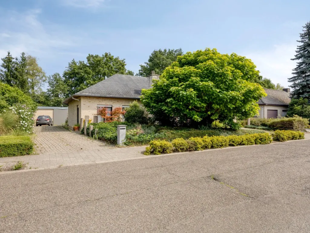 Hoofdfoto Huis in Olen