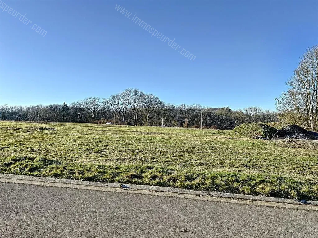 Villa in Anseremme - 1011451 - Rue Emile Wauty , 5500 ANSEREMME