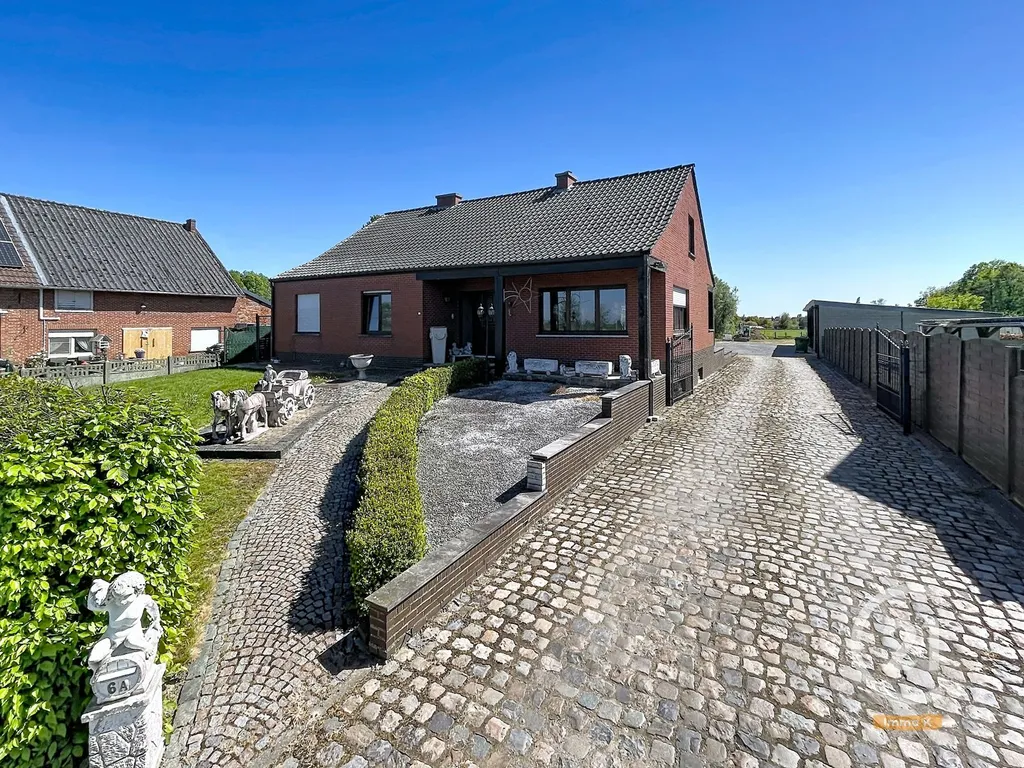 Hoofdfoto Huis in Geetbets