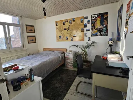 Huis in Antwerpen - Dolfijnstraat 4, 2018 - foto 7
