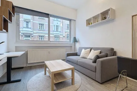 Appartement Te Koop Ixelles