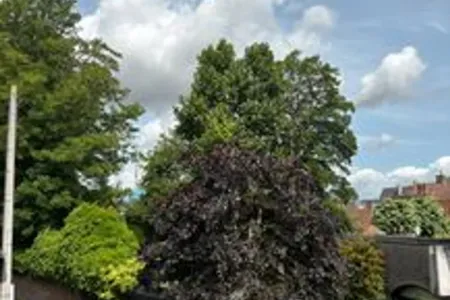 Villa Archivé Poperingue