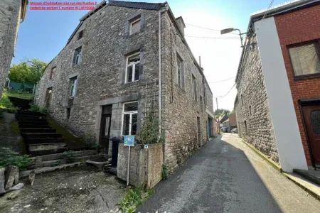 Maison À vendre Doische