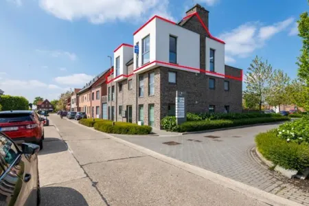 Appartement À vendre Hoogstraten