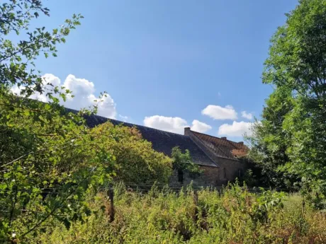 Huis in Peissant - Rue des Bois 2, 7120 - foto 9