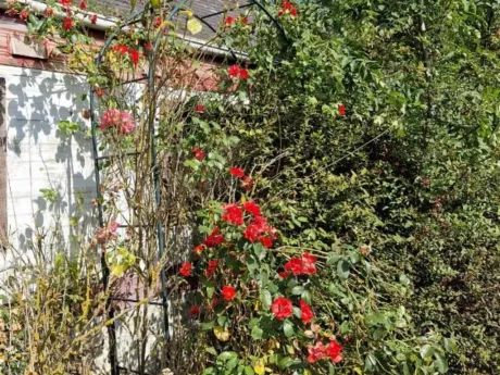 Huis in Peissant - Rue des Bois 2, 7120 - foto 7