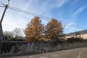Villa Te Koop Romedenne