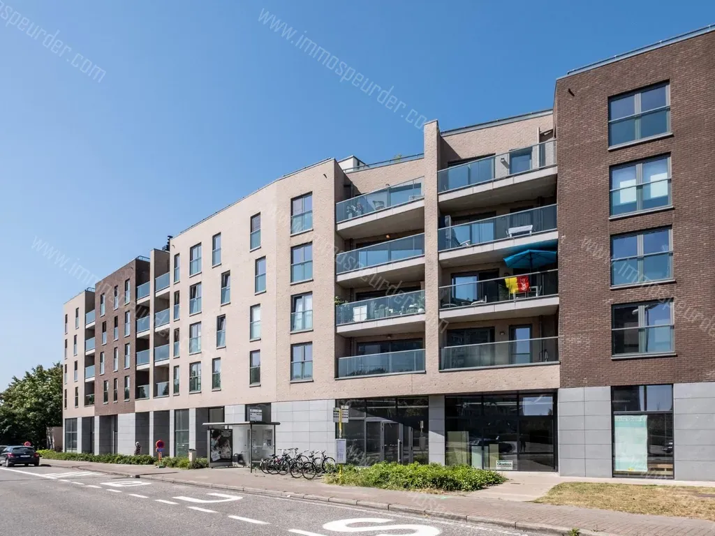 Appartement Te Koop Dendermonde