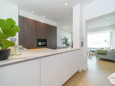 Appartement in Sint-Idesbald - Zeedijk 48, 8670 - foto 2