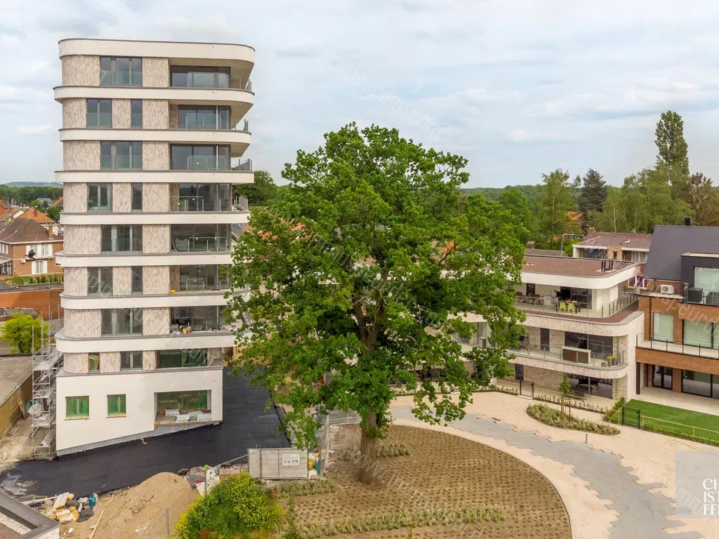 Appartement Te Huur Beringen