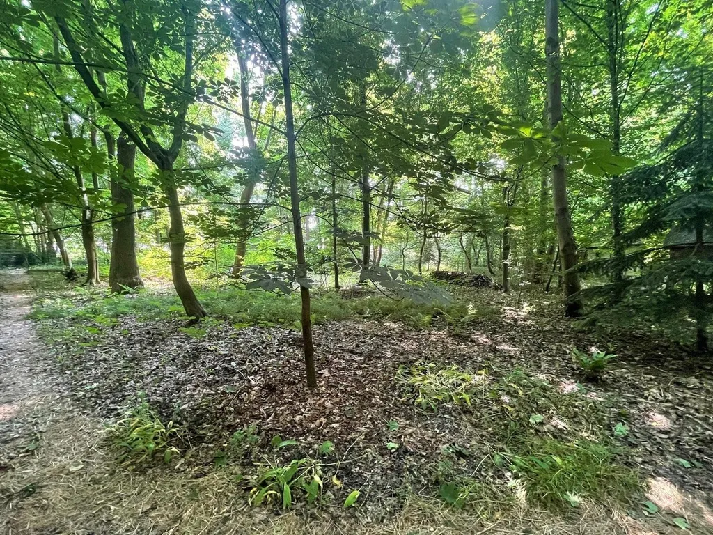 Hoofdfoto Huis in Lettelingen